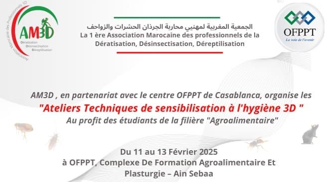 Ateliers techniques AM3D – OFPPT Casablanca | Février 2025