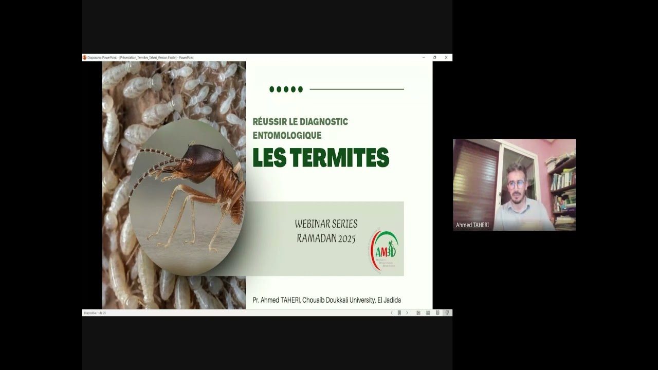 WEBINAR SERIE RAMADAN , Episode 4 : Les termites