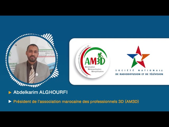 AM3D en direct : informations et clarifications concernant la punaise de lit