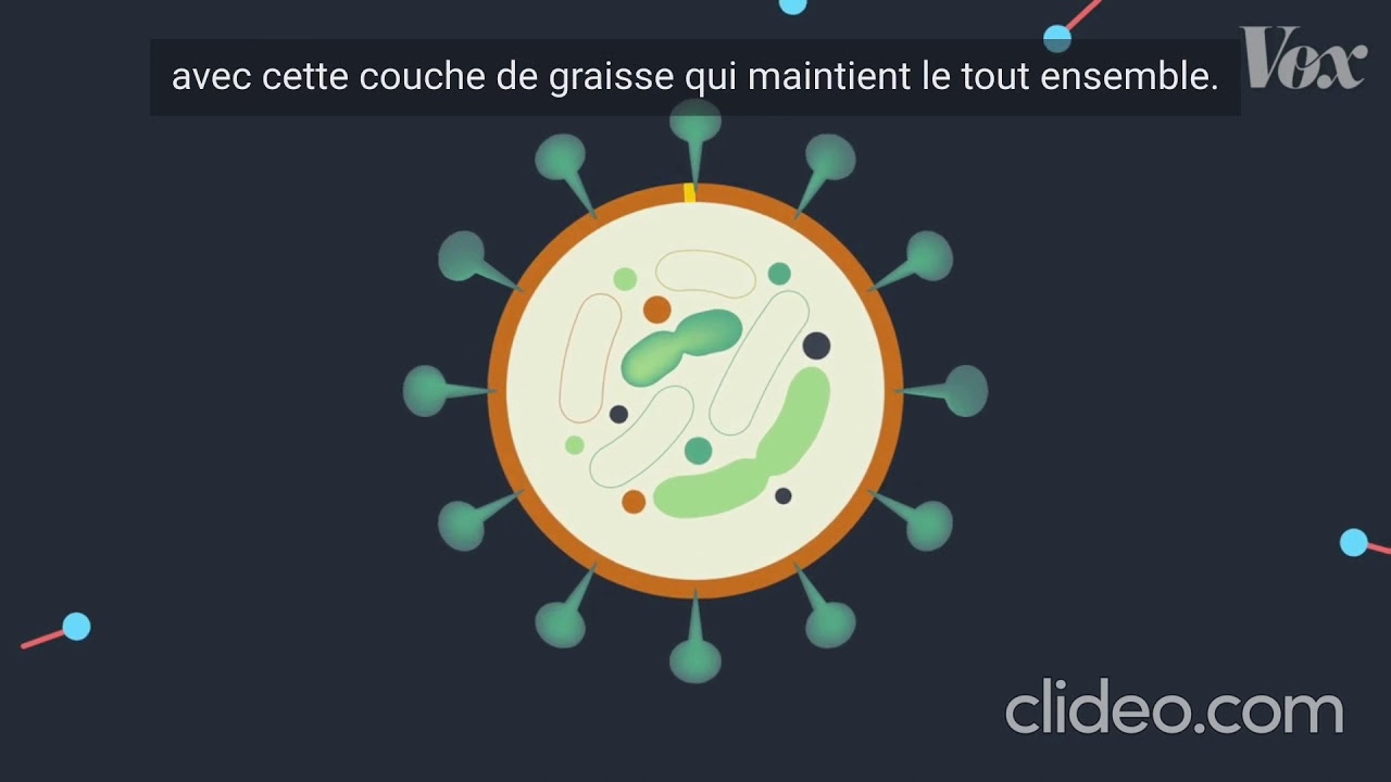 AM3D - Le savon notre ami